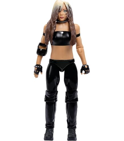 Amazon.com: WWE Stephanie McMahon & Mick Foley 2-Pack : Toys & Games